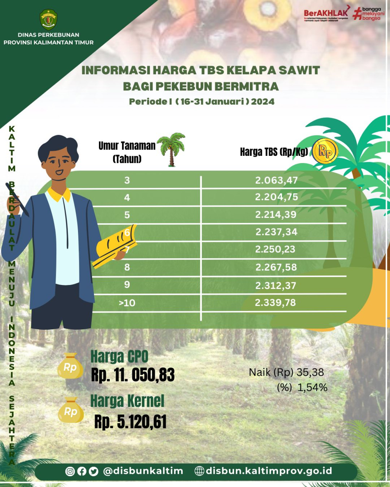 Informasi Harga TBS Kelapa Sawit bagi Pekebun Mitra Periode II Bulan Januari 2024