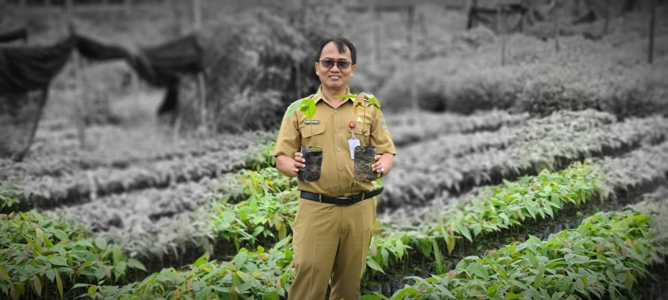 Disbun Fokus Perluasan Kakao 100 Hektar di Kutai Timur