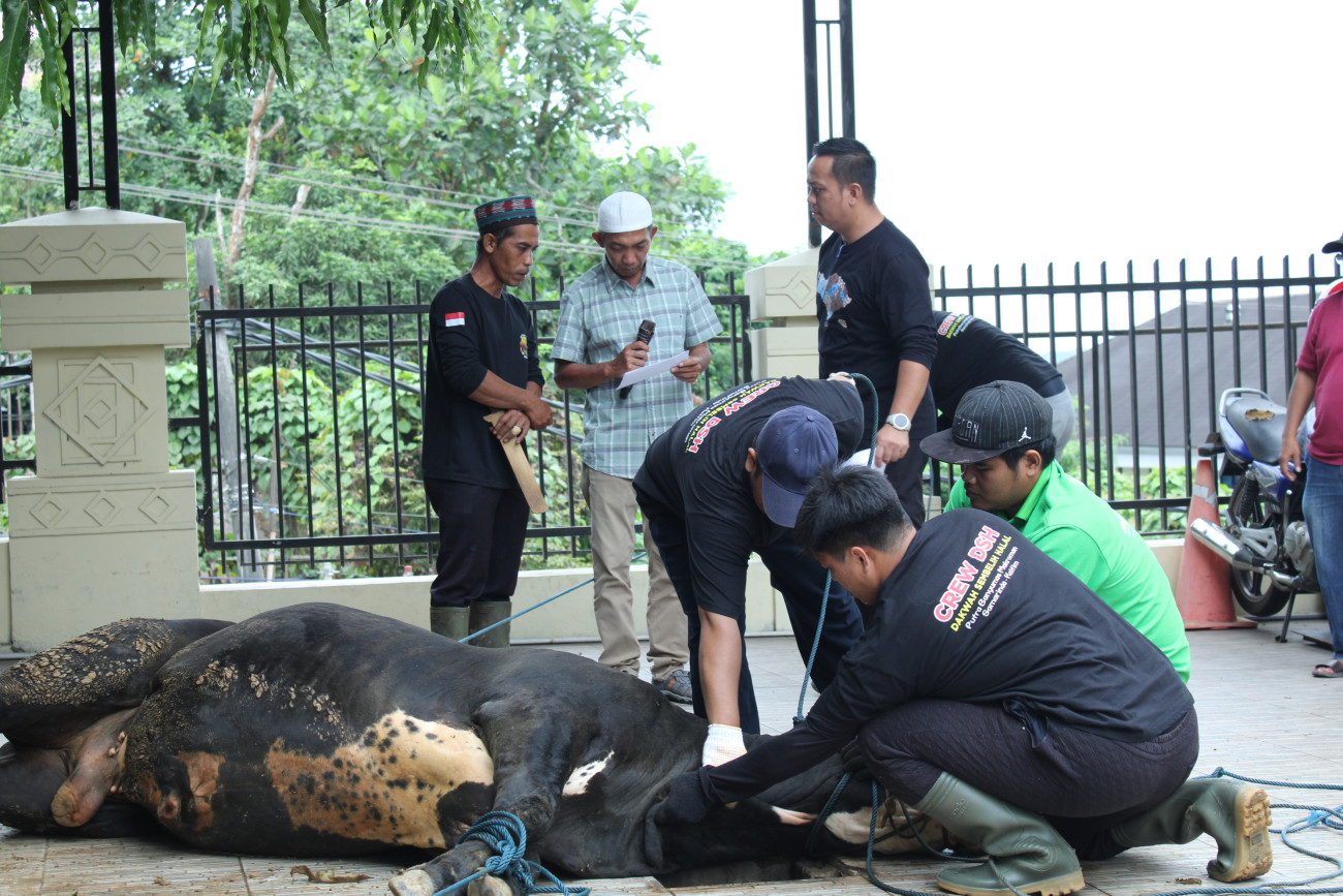 Momentum Idul Adha Penuh Makna, Disbun Laksanakan Qurban