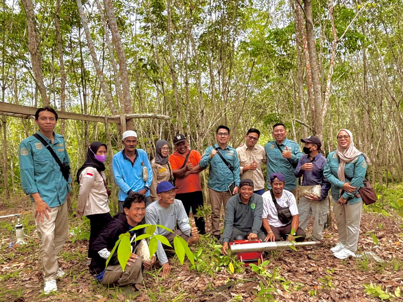 Pengamatan dan Pengendalian Organisme Pengganggu Tanaman (OPT) Pada Komoditas Karet di Desa Gersik Kabupaten Penajam Paser Utara