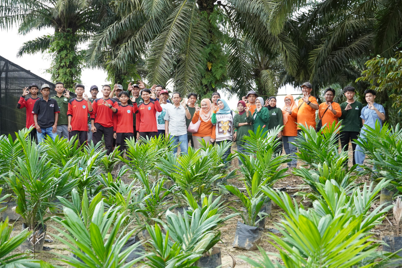 UPTD PBTP Disbun Kaltim Perbanyak 30.000 Benih Kelapa Sawit, Wujudkan Kemandirian Benih Lokal Kaltim