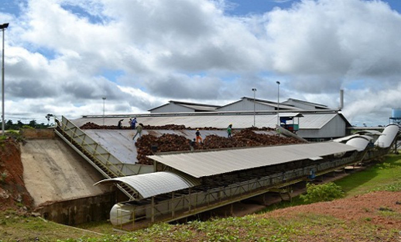 2016, Kaltim Miliki 87 Pabrik Minyak Kelapa Sawit