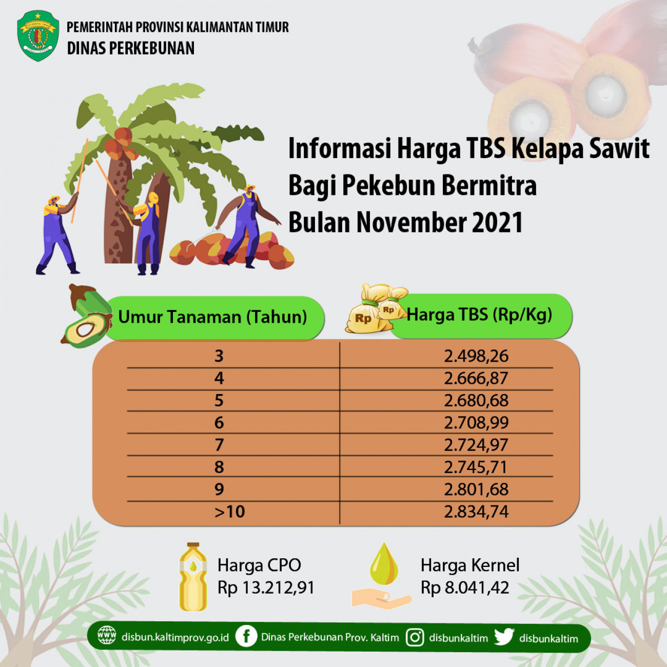 Informasi Harga TBS Kelapa Sawit Bagi Pekebun Bermitra Bulan November 2021