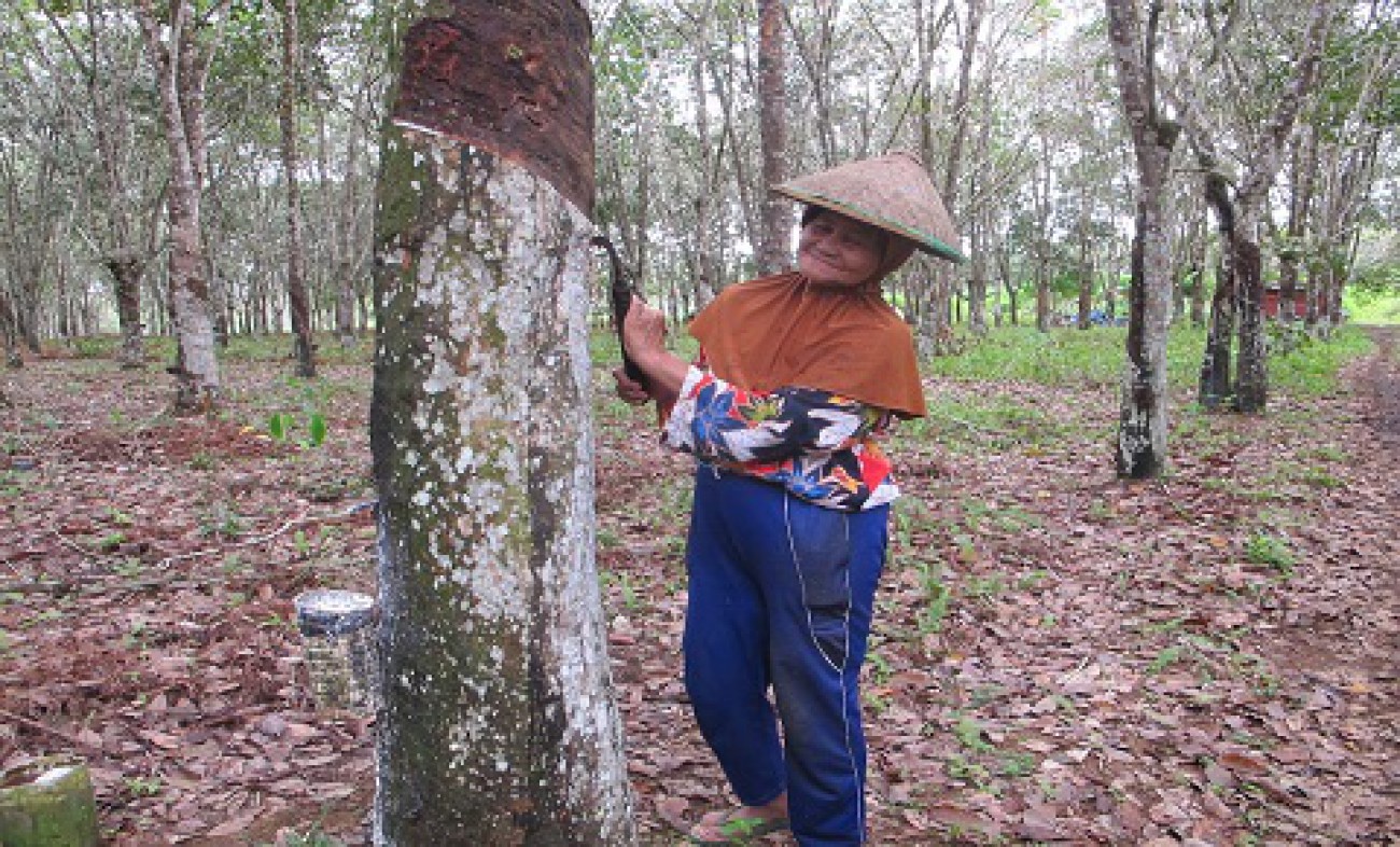 NTP Perkebunan Rakyat Bulan Mei Turun
