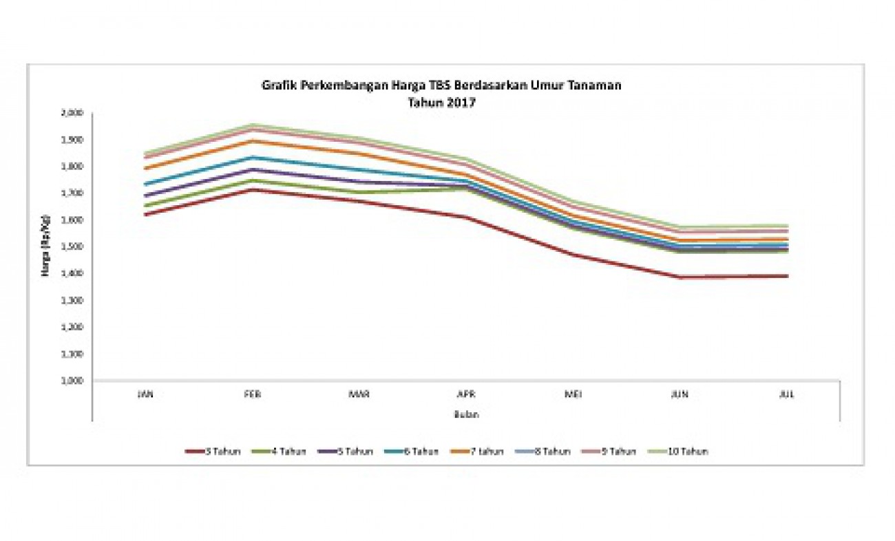 Sepanjang 2017 Harga Tbs Sawit Kaltim Berfluktuasi