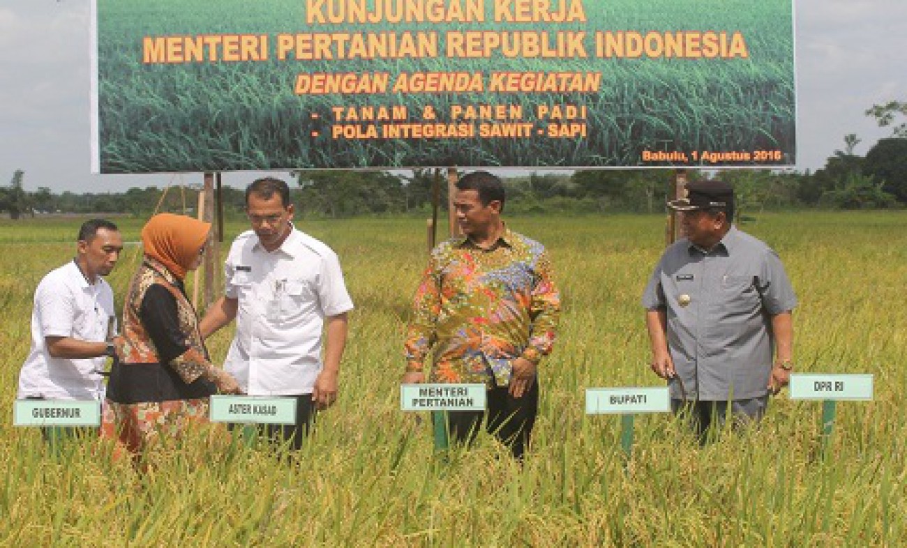 Kunjungan Kerja Menteri Pertanian ke Kabupaten Penajam Paser Utara