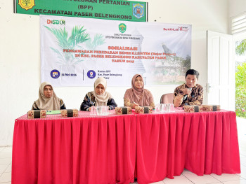 Benih Sawit Ilegal Masih Marak, UPTD PBP Disbun Kaltim Bergerak Edukasi Petani Paser