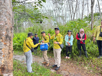 Pengendalian Jamur Akar Putih, UPTD P2TP Disbun Kaltim Perkuat Mitigasi Serangan OPT Karet