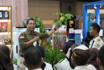 Edukasi Perkebunan, UPTD PBTP Adakan Workshop Benih Karet Berkualitas