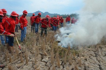 Perusahaan Wajib Miliki Sarana Pemadam Kebakaran Hutan