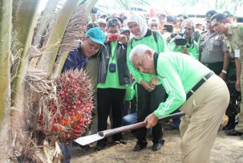 Kaltim Bangun Sektor Perkebunan Melalui Kerjasama Dengan Sumatera Barat