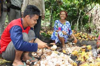 Berau Dorong Industri Pengolahan Kakao